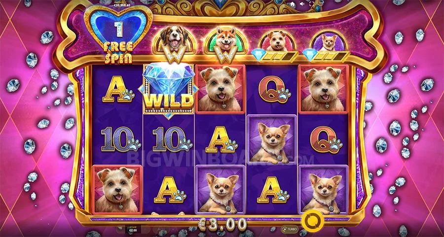 สนุกสุดเหวี่ยงกับ fun88 casino online และ Diamond Doggies Slot